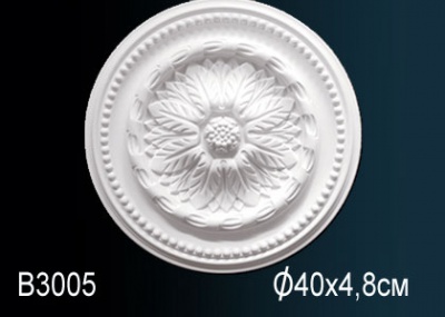 ������� �� ����������� Perfect B3005